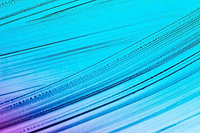 《动物森友会》7月29日推送免费季节更新 更多免费内容开发中